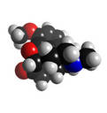 hydrocodone bitartrate