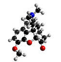 nifedipine hydrocodone